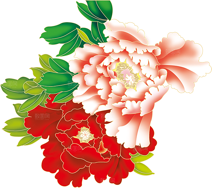 牡丹花免抠素材元素