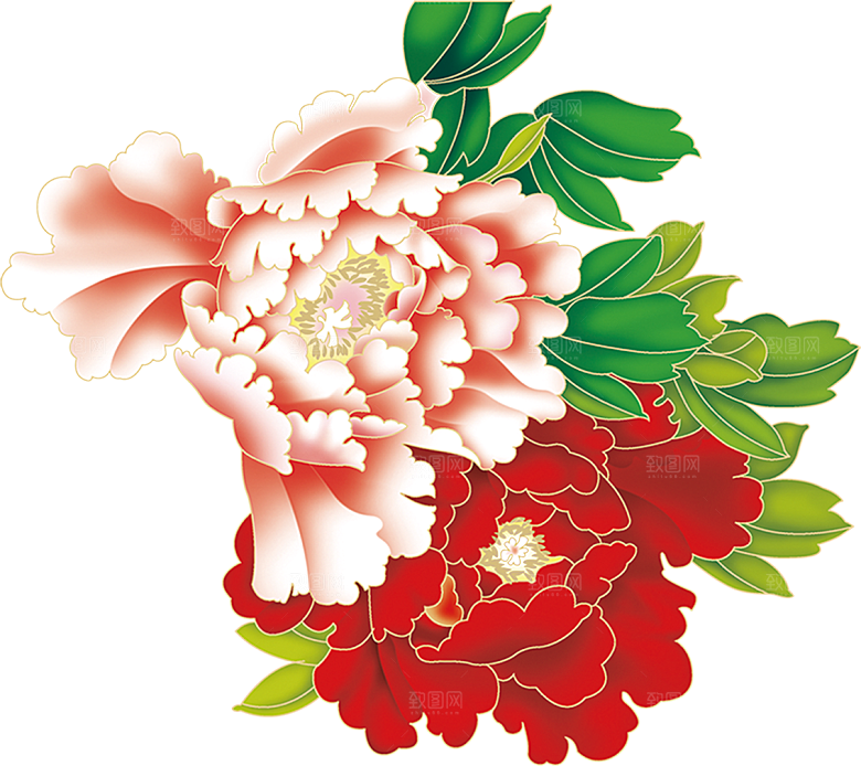 牡丹花免抠素材元素免抠