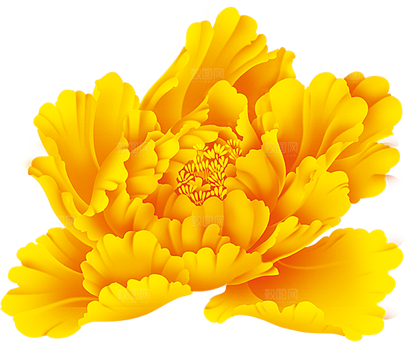 牡丹花免抠素材元素免抠