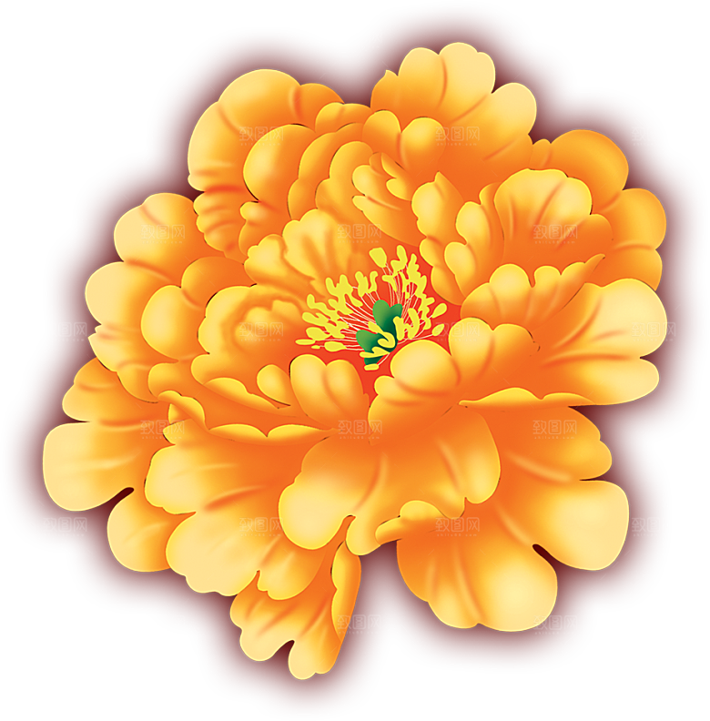 牡丹花免抠素材元素免抠
