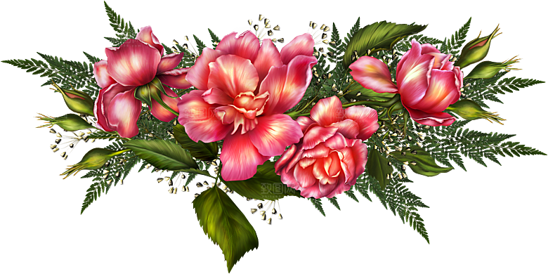 牡丹花免抠素材元素免抠