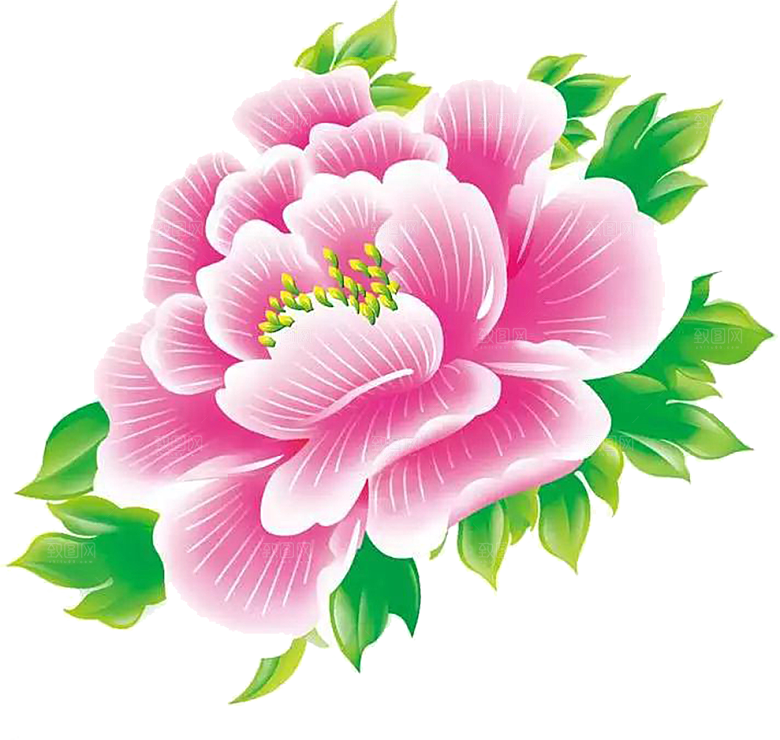 牡丹花免抠素材元素