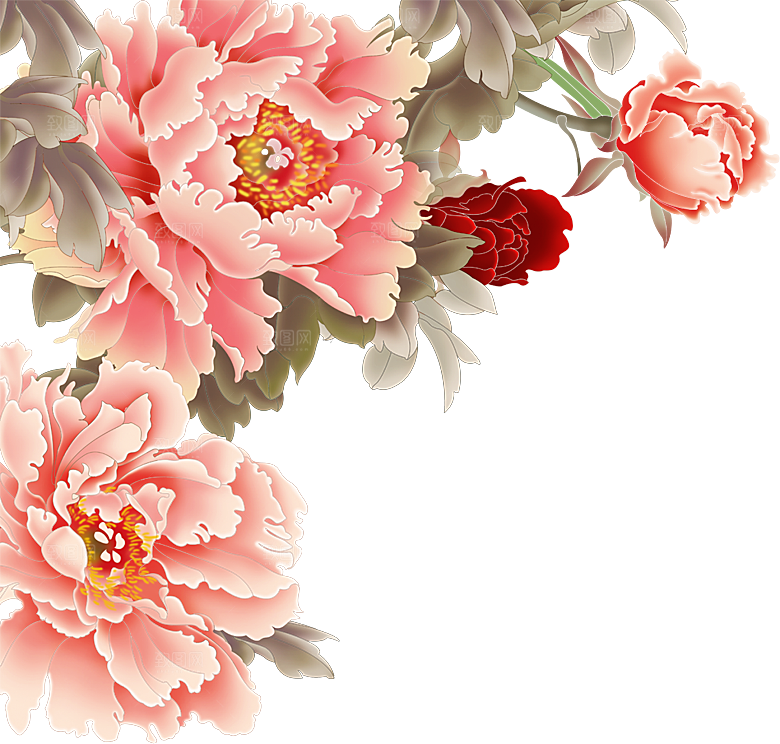 牡丹花免抠素材元素免抠