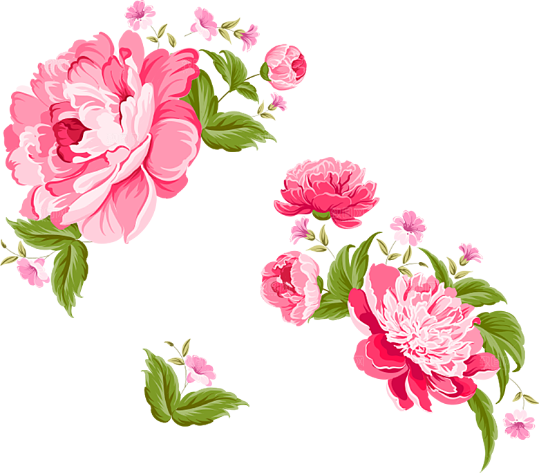 牡丹花免抠素材元素