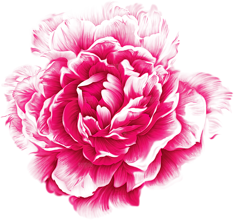 牡丹花设计元素素材免抠