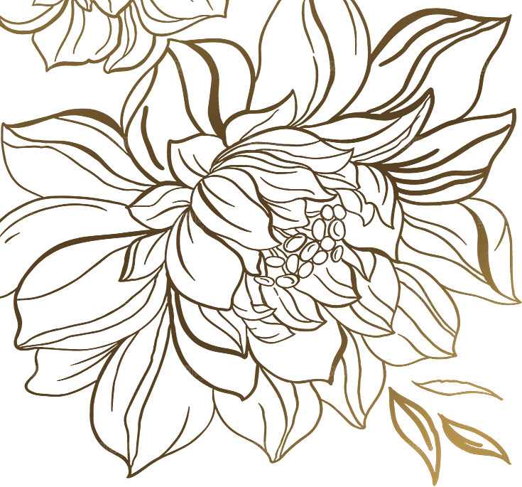 牡丹花设计元素素材免抠