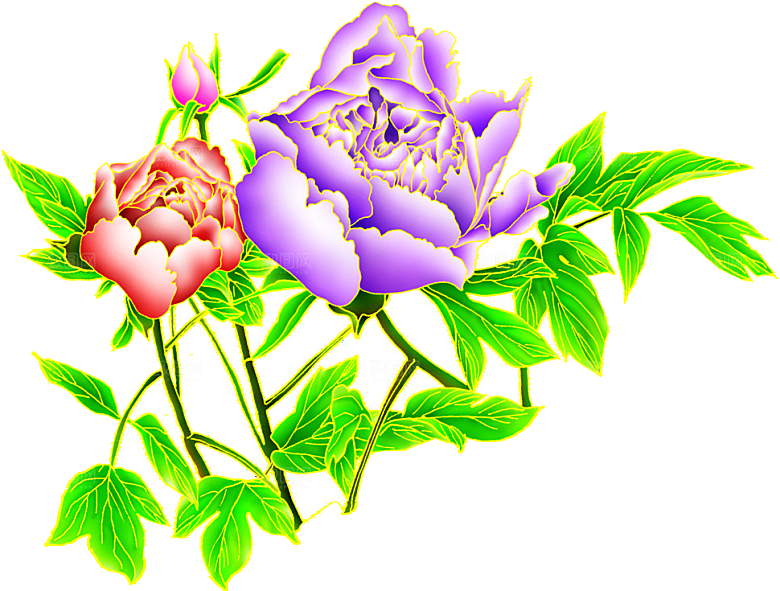 牡丹花免抠素材元素设计