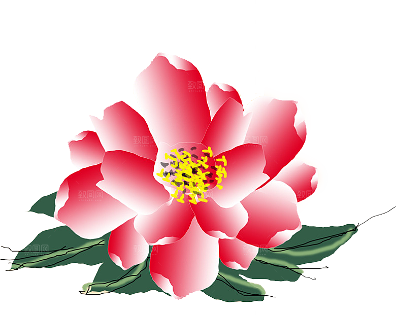 牡丹花免抠素材元素设计