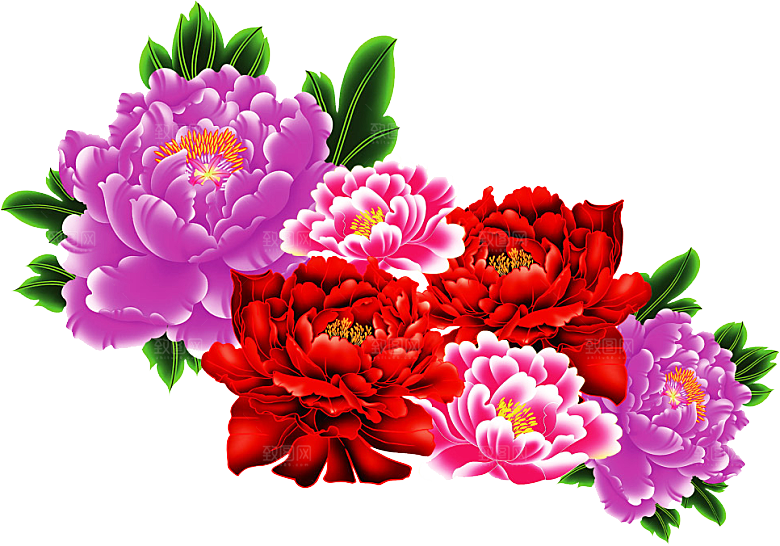 牡丹花免抠素材元素设计