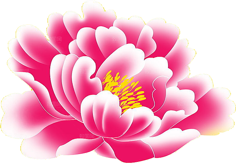 牡丹花免抠素材元素设计