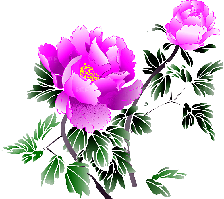 牡丹花设计素材元素免抠