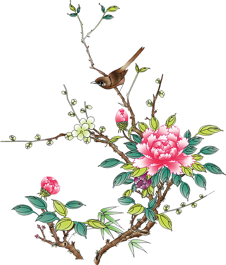 牡丹花设计素材元素免抠