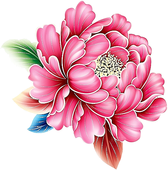 牡丹花设计素材元素免抠