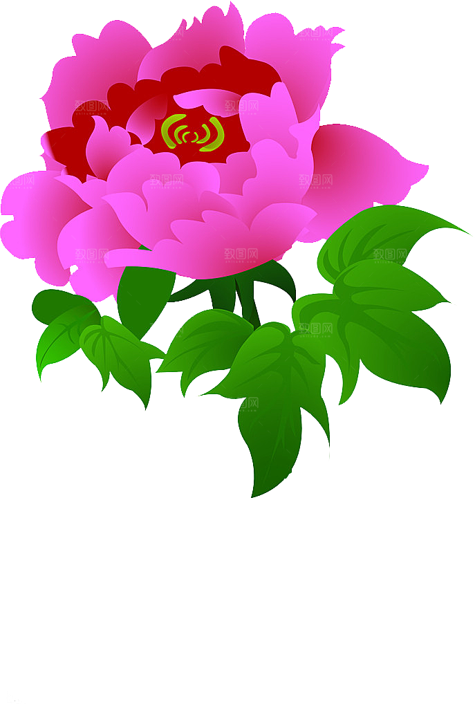 牡丹花设计素材元素免抠