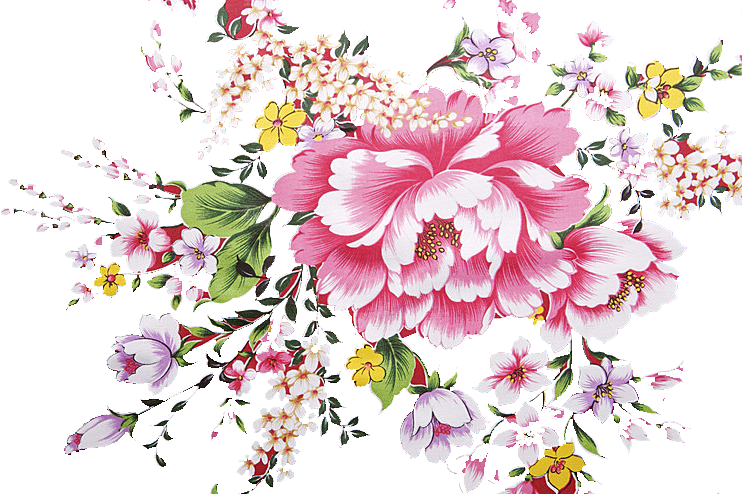 牡丹花设计素材元素免抠