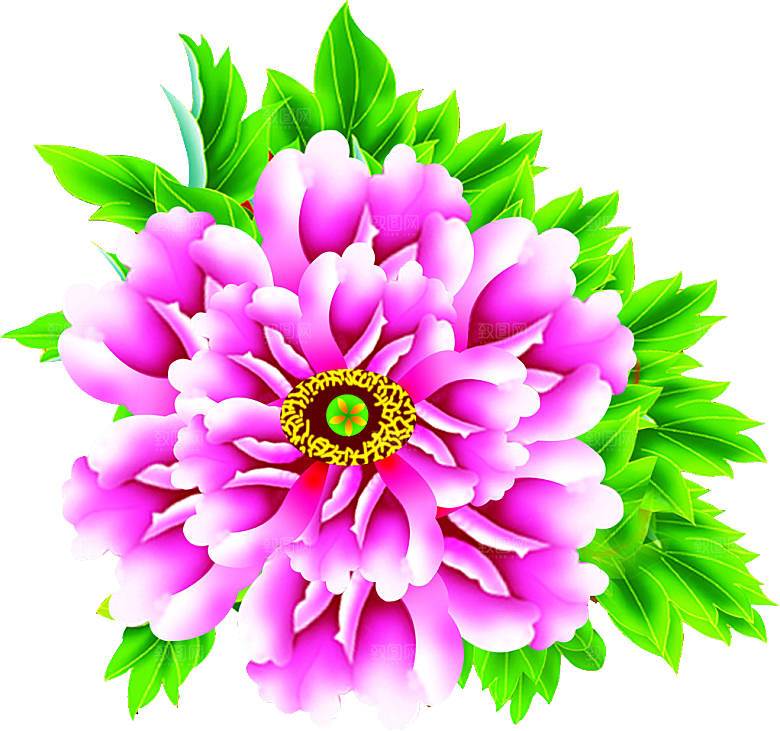 牡丹花设计素材元素免抠