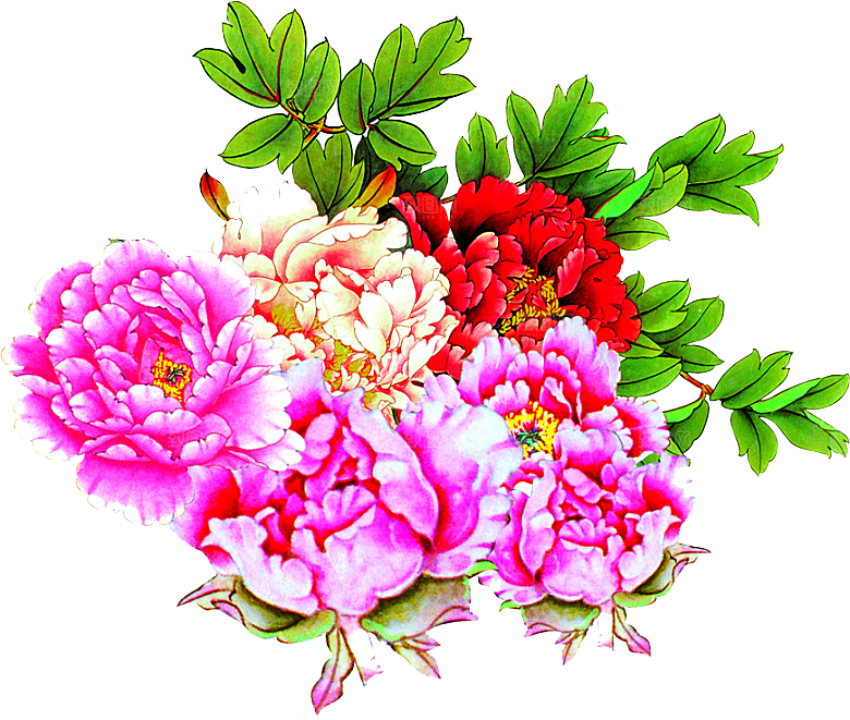 牡丹花设计素材元素免抠