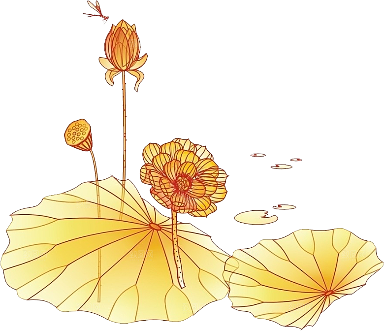 牡丹花设计素材元素