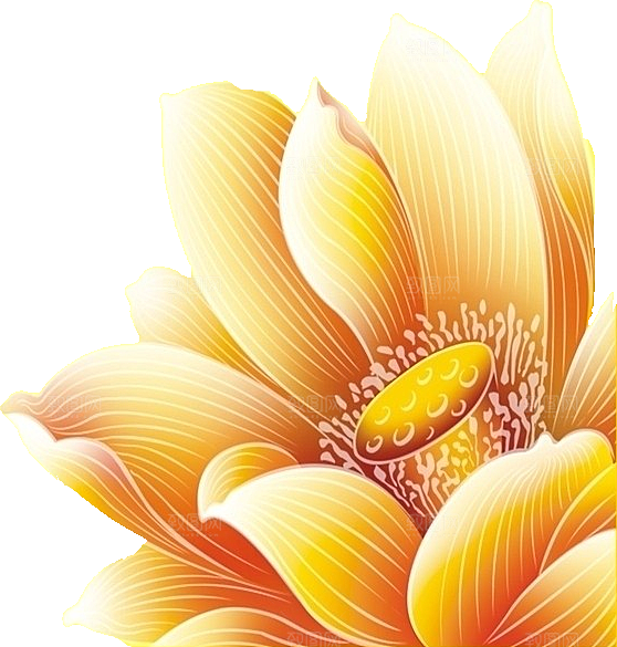牡丹花设计素材元素