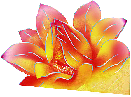 牡丹花设计素材元素