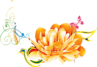 牡丹花设计素材元素