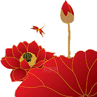 牡丹花设计素材元素
