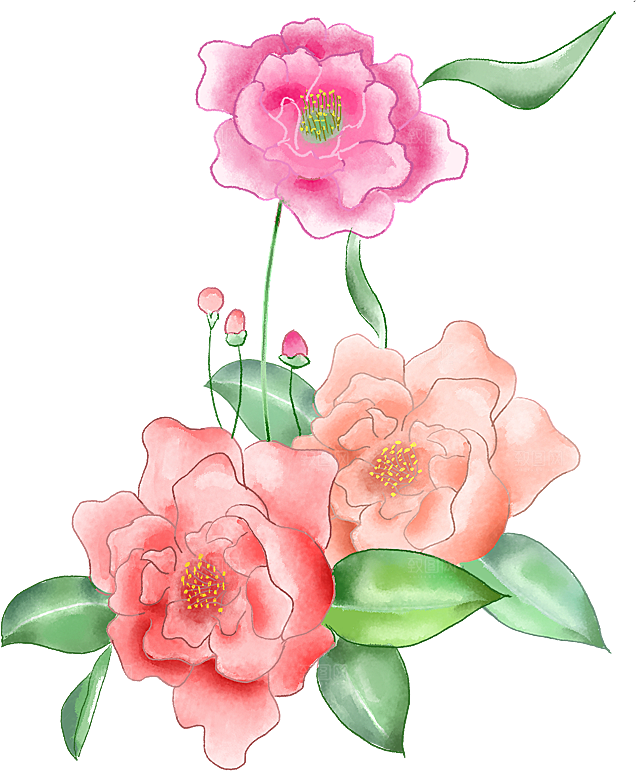 牡丹花设计素材元素免抠