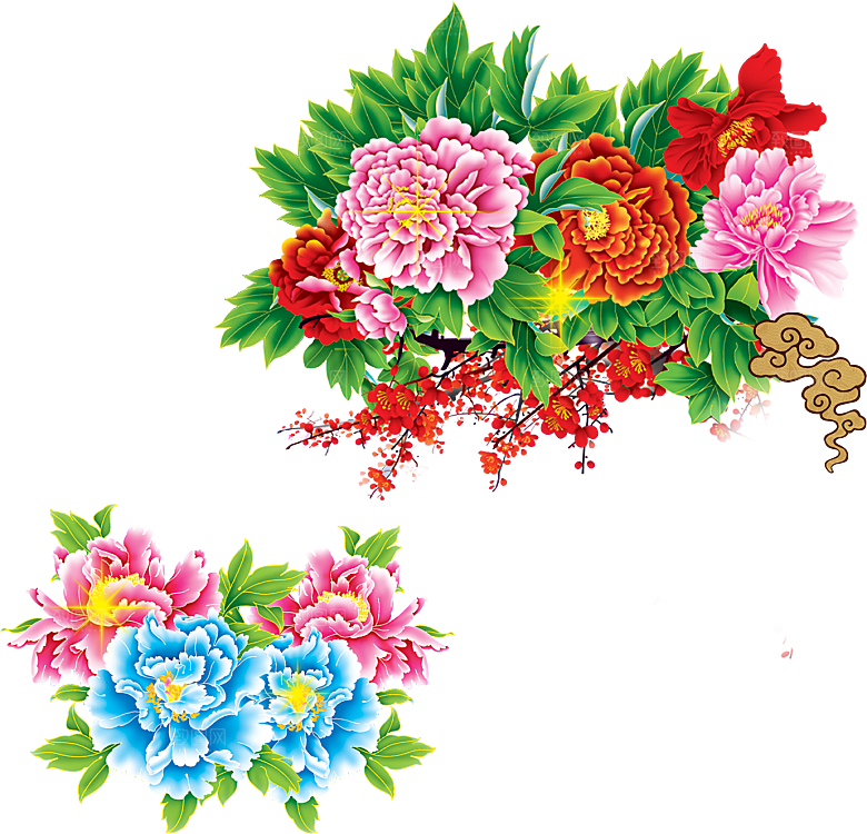 牡丹花设计素材元素