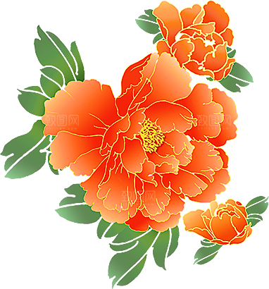 牡丹花设计素材元素