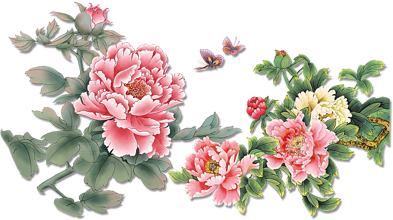 牡丹花设计素材元素