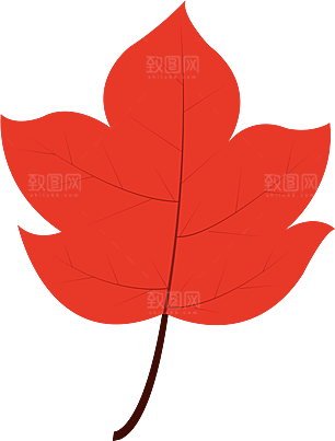 树叶元素素材设计免抠