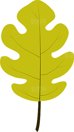 树叶元素素材设计
