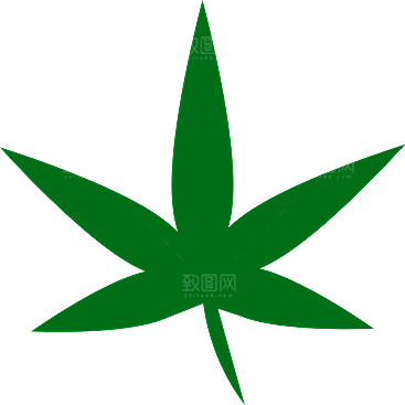 树叶元素素材设计免抠