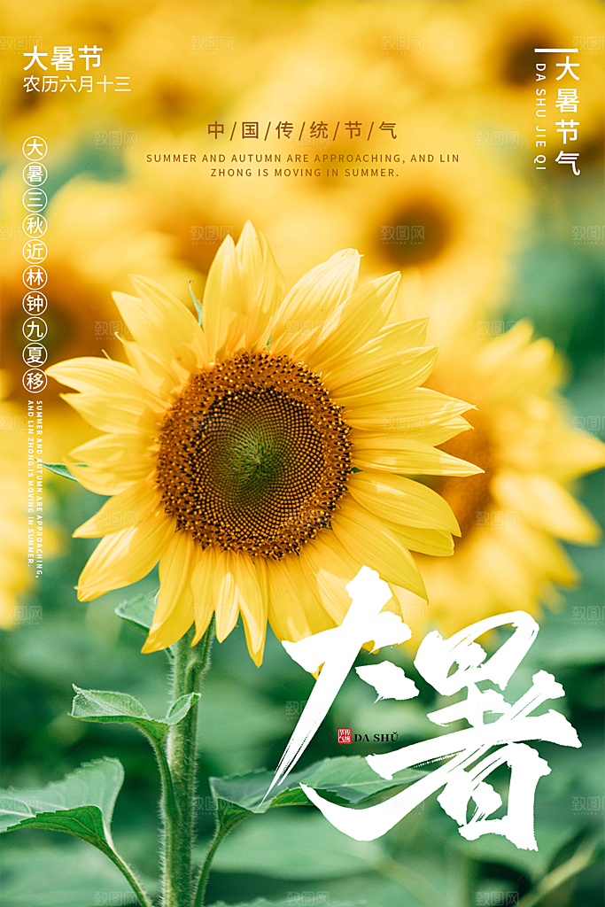 大暑节气简约大气海报