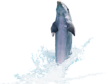 海豚元素素材免抠