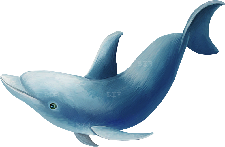 海豚元素素材免抠设计