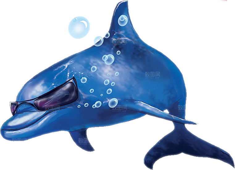 海豚元素素材免抠设计