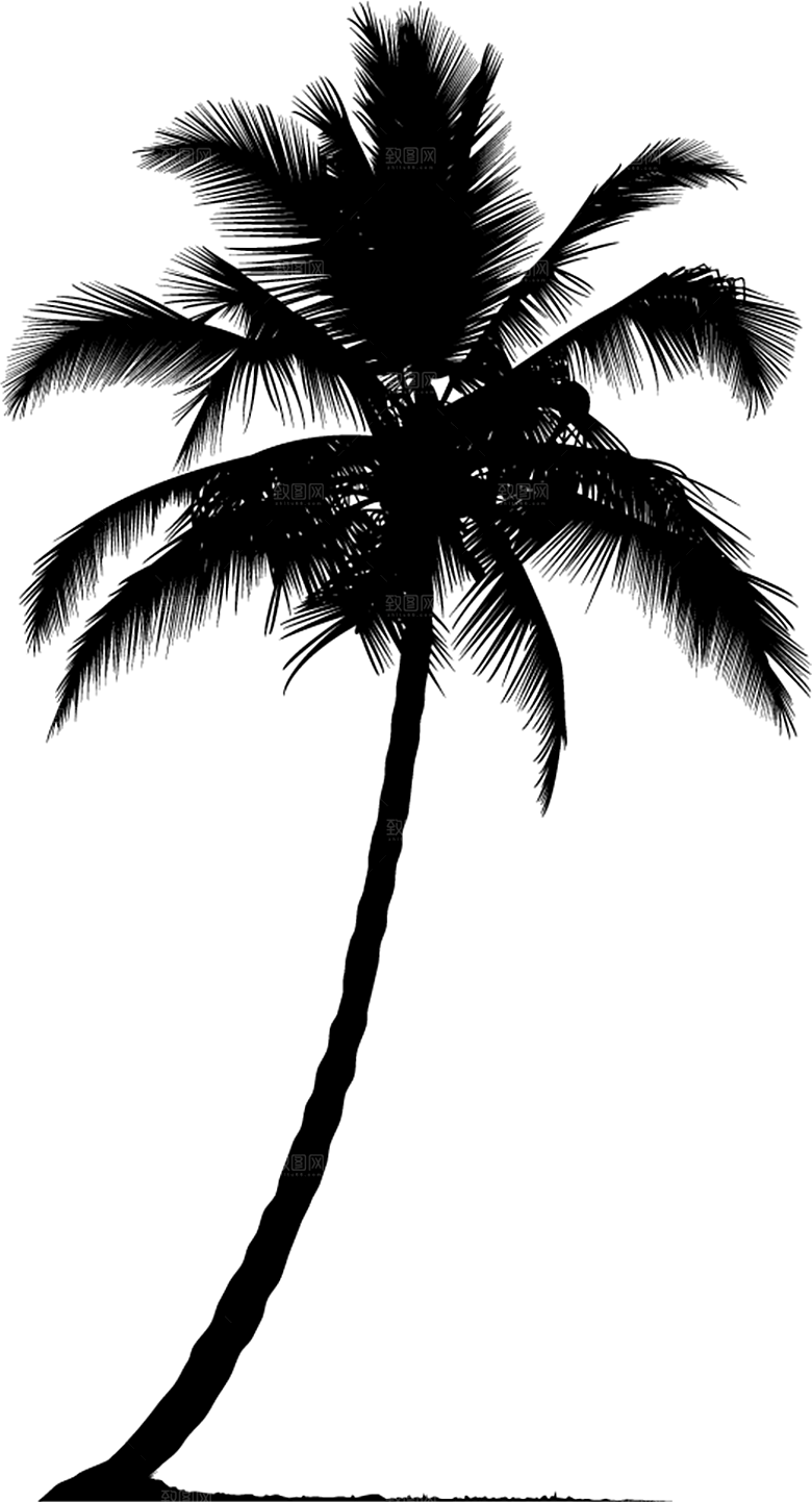 椰子树元素设计素材免抠