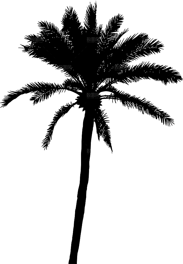 椰子树元素设计素材