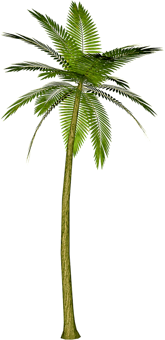 椰子树元素设计素材
