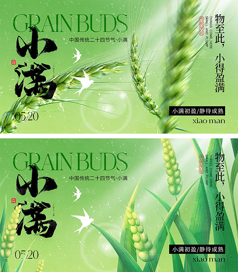 小满节气海报11