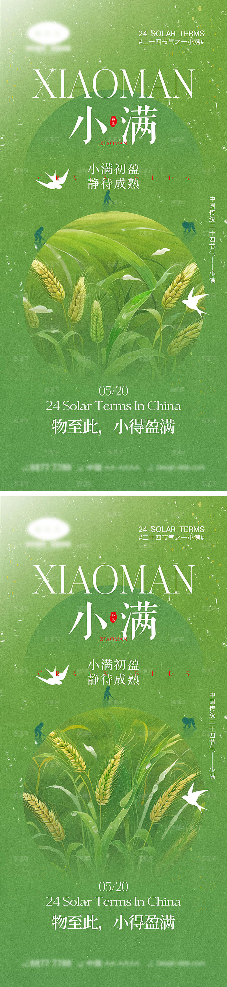 小满节气海报11