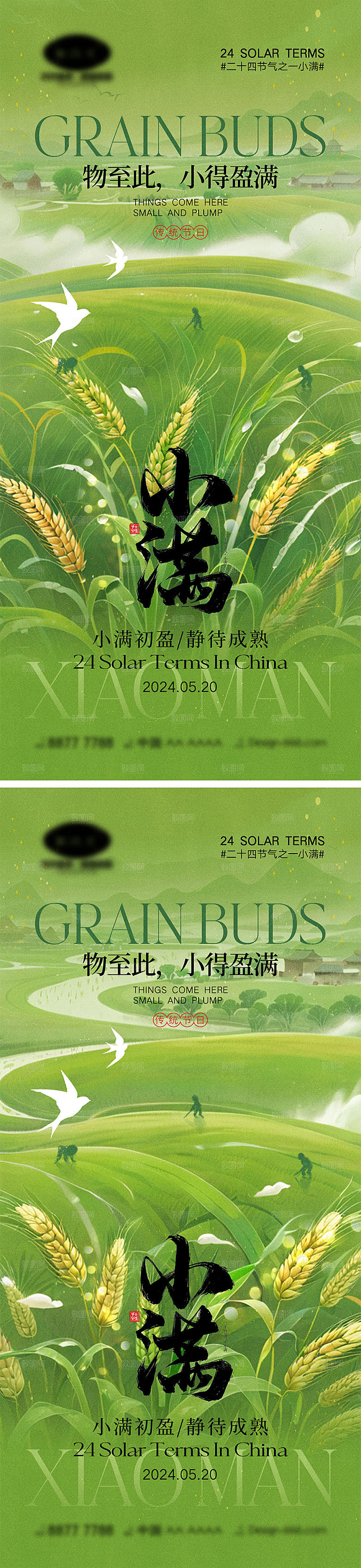 小满节气海报11