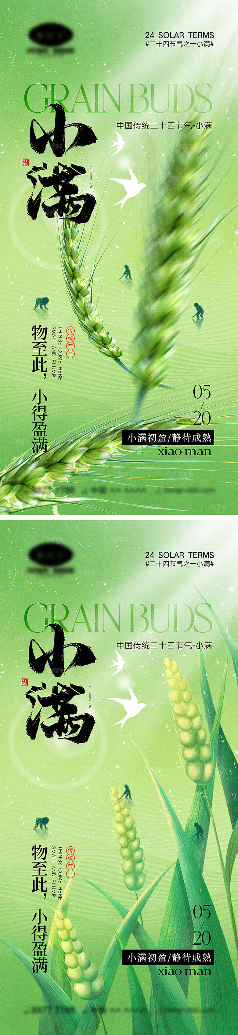 小满节气海报11