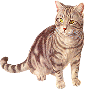 卡通小猫咪设计素材免抠