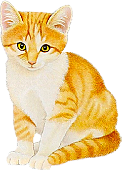 卡通小猫咪设计素材免抠
