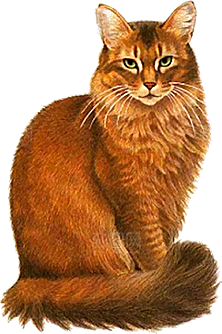 卡通小猫咪设计素材免抠