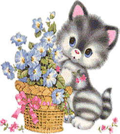 卡通小猫咪设计素材免抠
