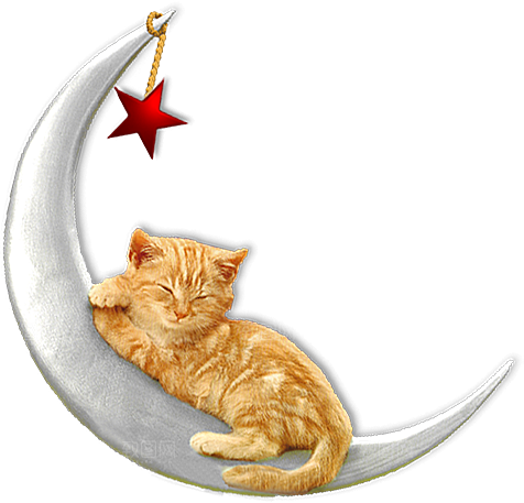 卡通小猫咪设计素材