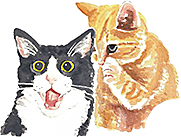 卡通小猫咪设计素材
